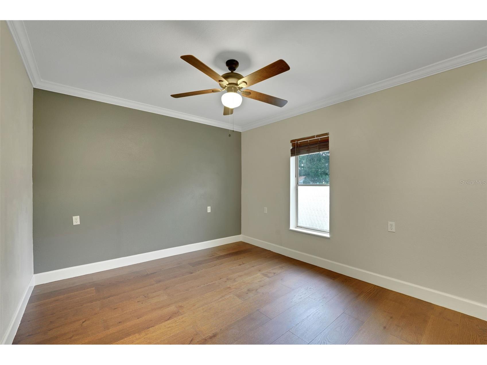 330 S Highland Street Mount Dora FL 32757 G5114784 image13