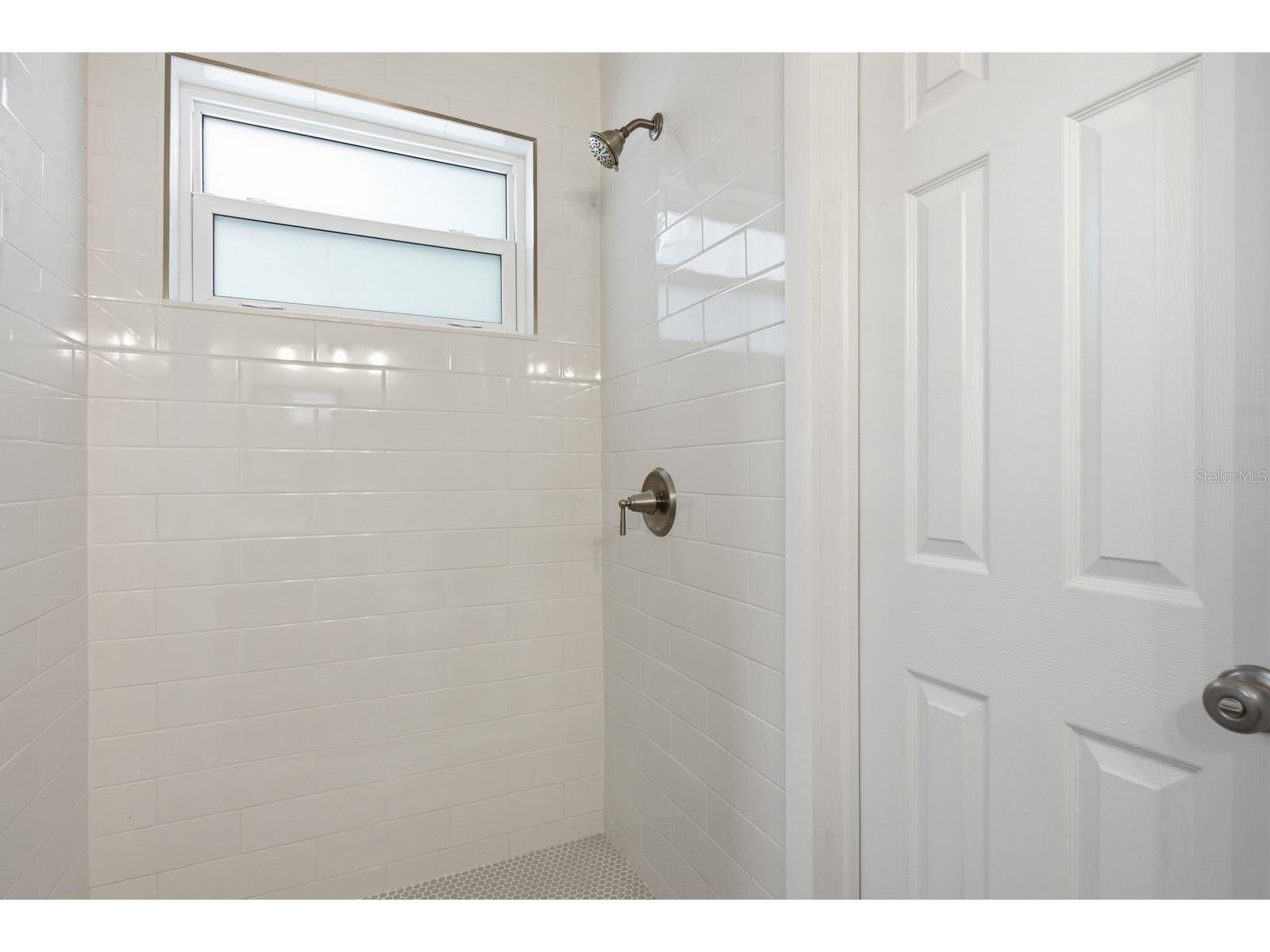 330 Scott Court Palm Harbor FL 34684 TB8524680 image21