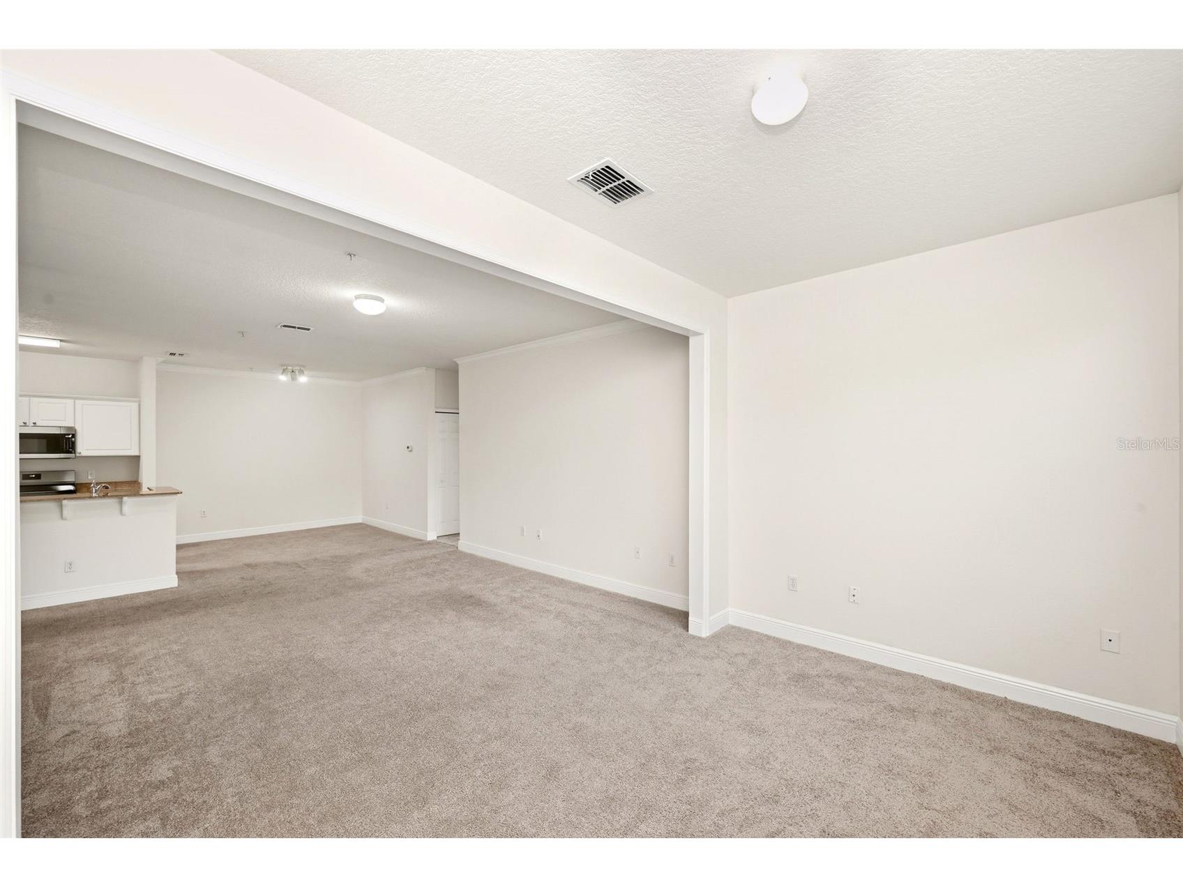 330 Southern Pecan Circle #205 Winter Garden FL 34787 S5150108 image19