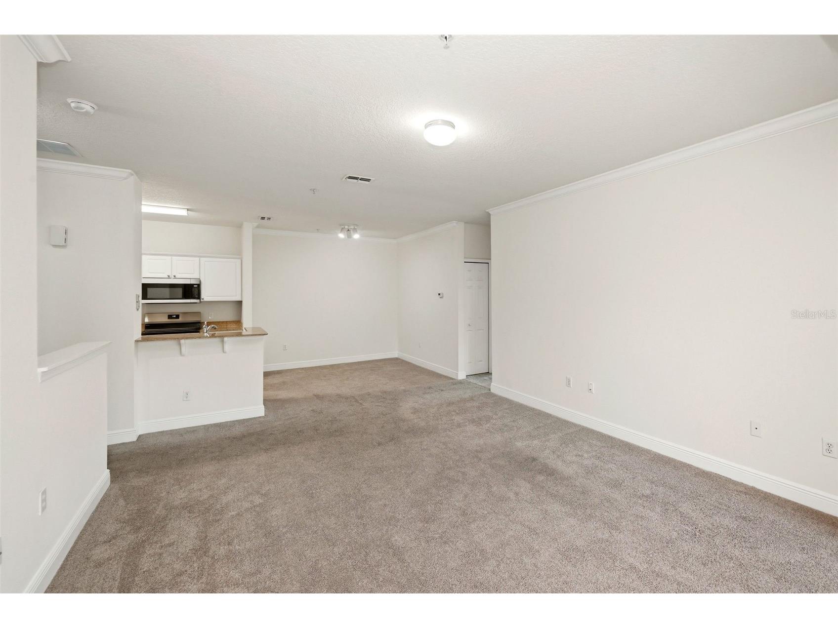 330 Southern Pecan Circle #205 Winter Garden FL 34787 S5150108 image20