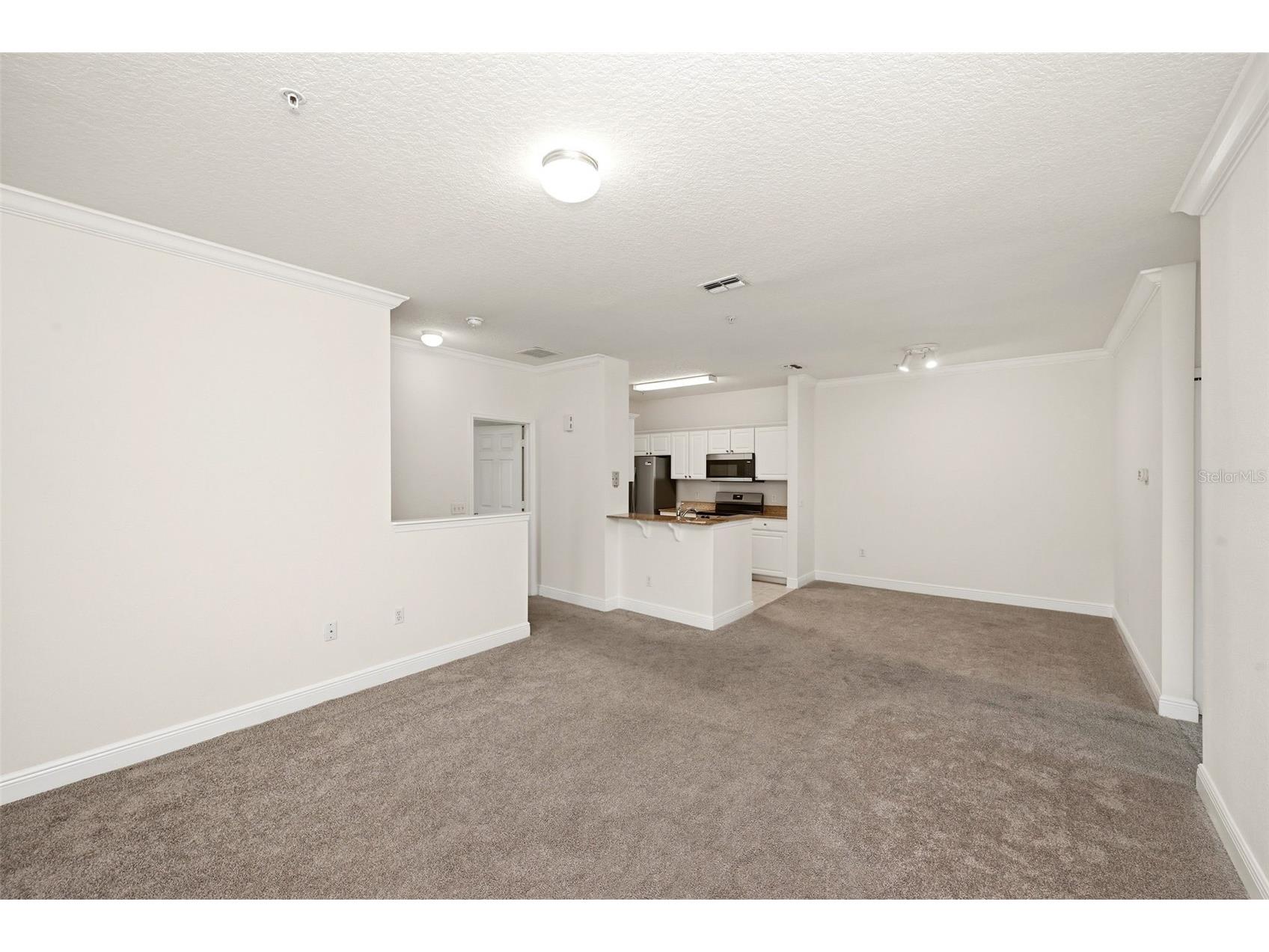 330 Southern Pecan Circle #205 Winter Garden FL 34787 S5150108 image21