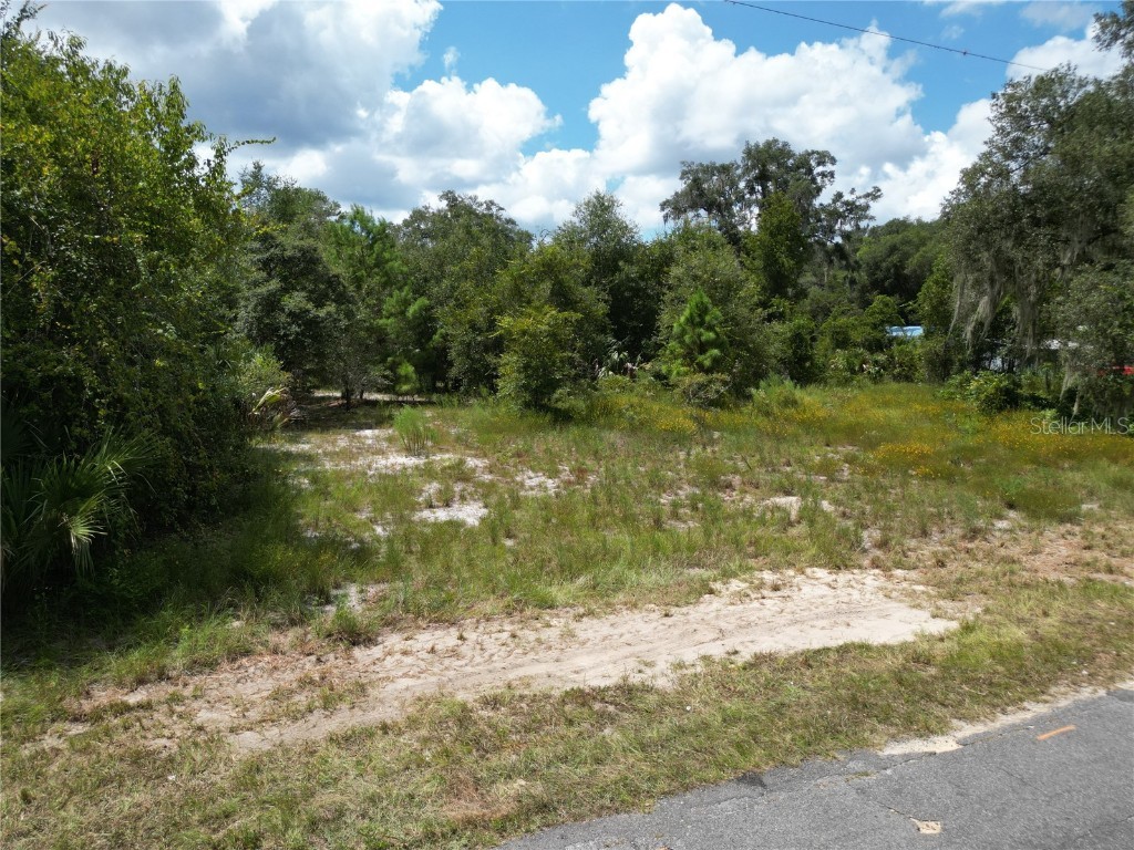 330 Vannote Road Pierson FL 32180 V4931970 image1