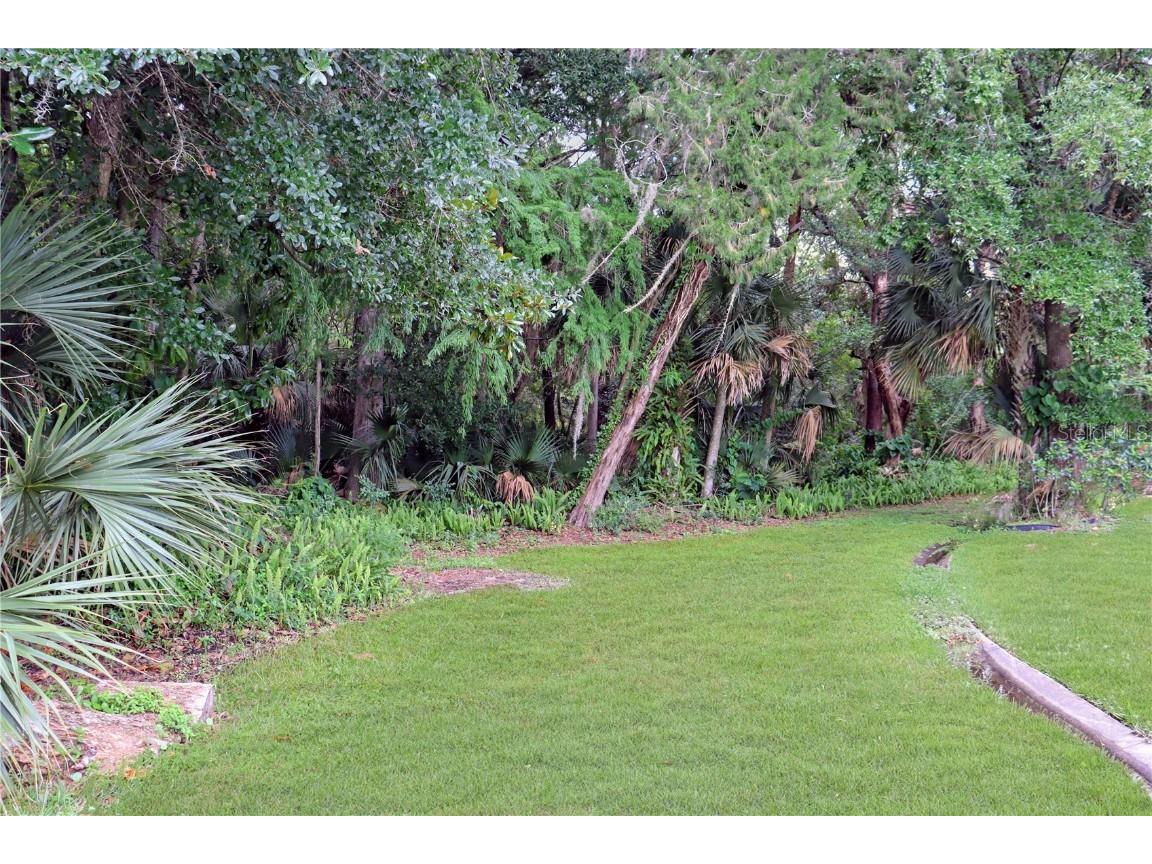 330 W Lake Mary Boulevard Sanford FL 32773 - LAKE MINNIE O6215898 image5