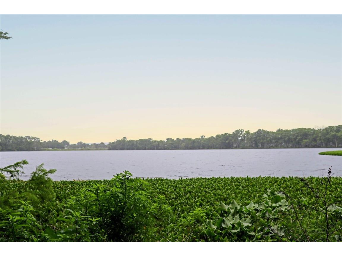 330 W Lake Mary Boulevard Sanford FL 32773 - LAKE MINNIE O6215898 image6