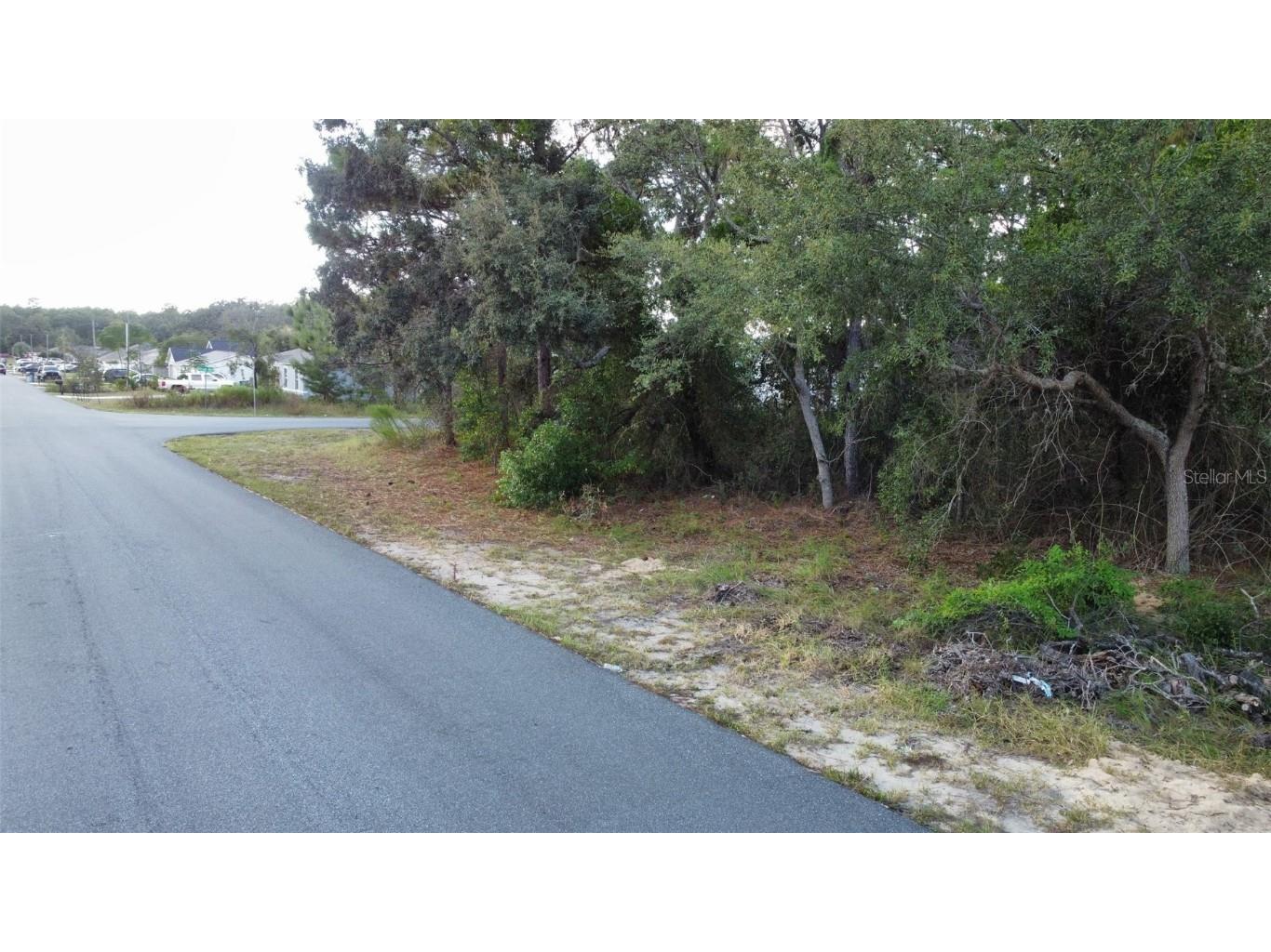 3300 Alcan Avenue Spring Hill FL 34608 W7879378 image1