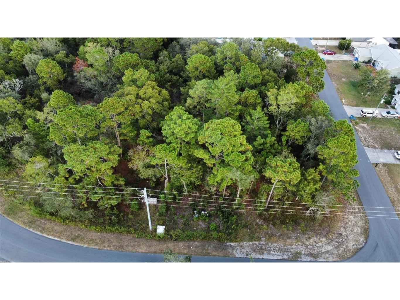 3300 Alcan Avenue Spring Hill FL 34608 W7879378 image2