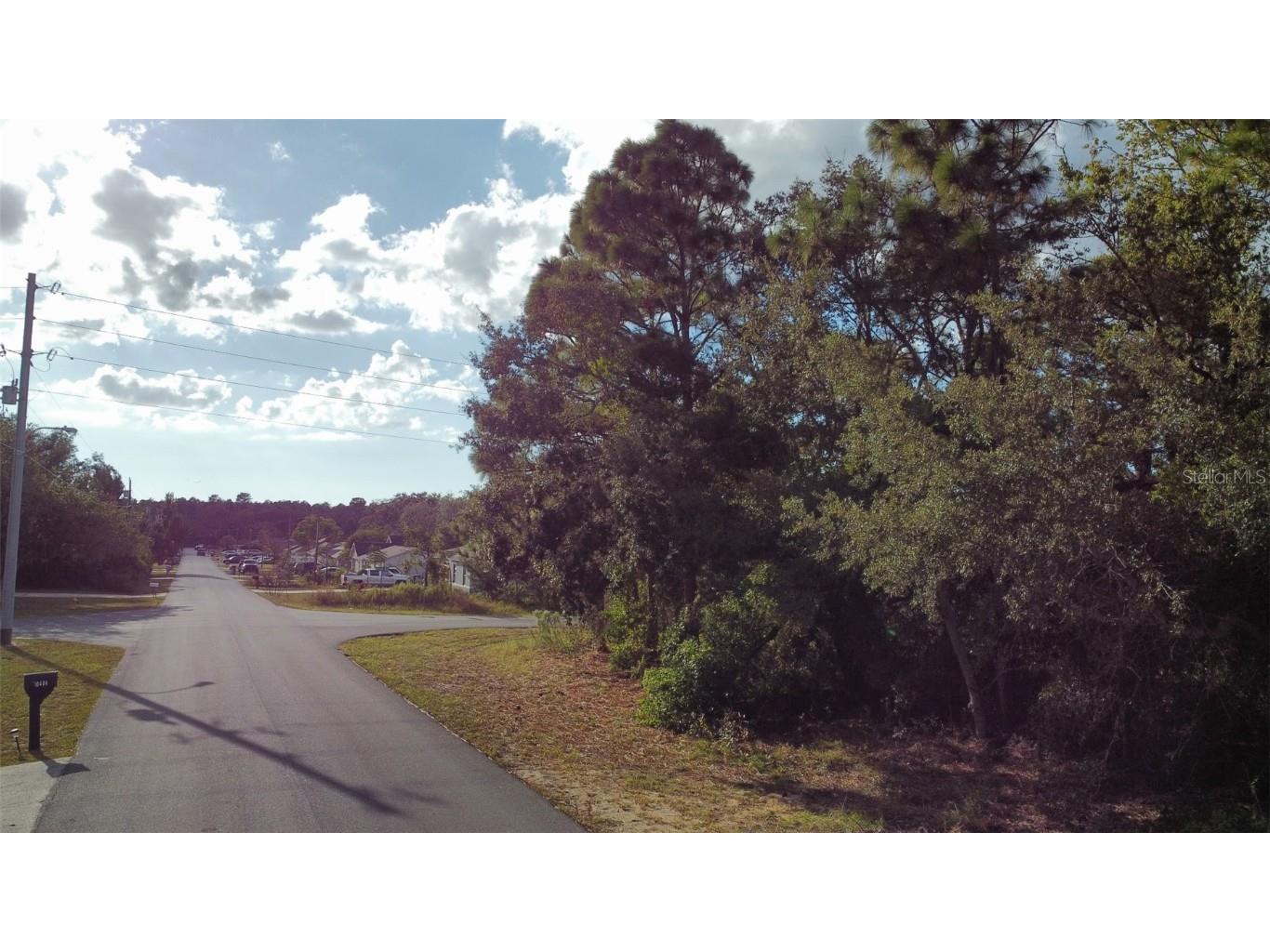 3300 Alcan Avenue Spring Hill FL 34608 W7879378 image5