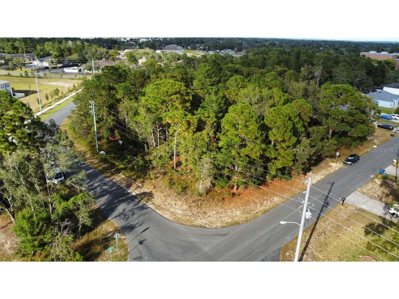 3300 Alcan Avenue Spring Hill FL 34608 W7879378 image6