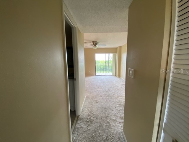 3300 Cove Cay Drive #4F Clearwater FL 33760 TB8439702 image16