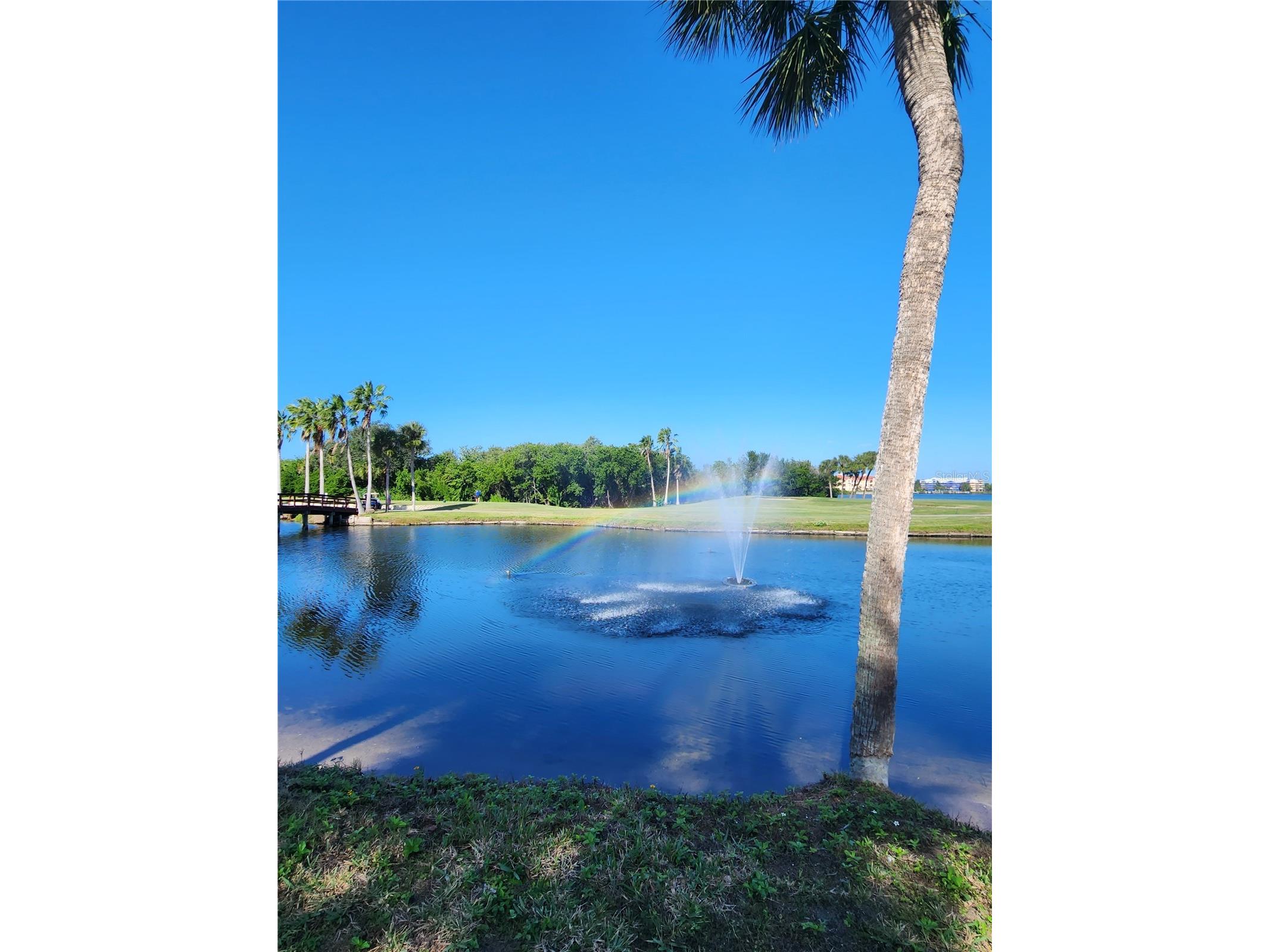 3300 Cove Cay Drive #7D Clearwater FL 33760 - TAMPA BAY TB8524759 image46