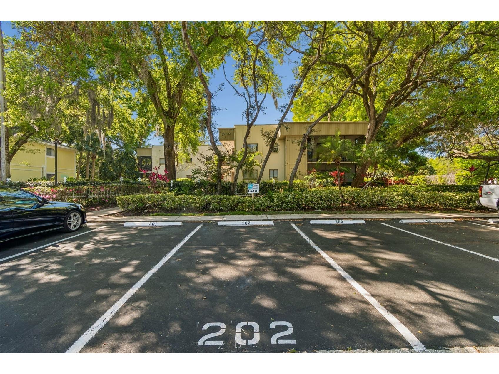 3300 Fox Chase Circle N #202 Palm Harbor FL 34683 TB8500704 image2