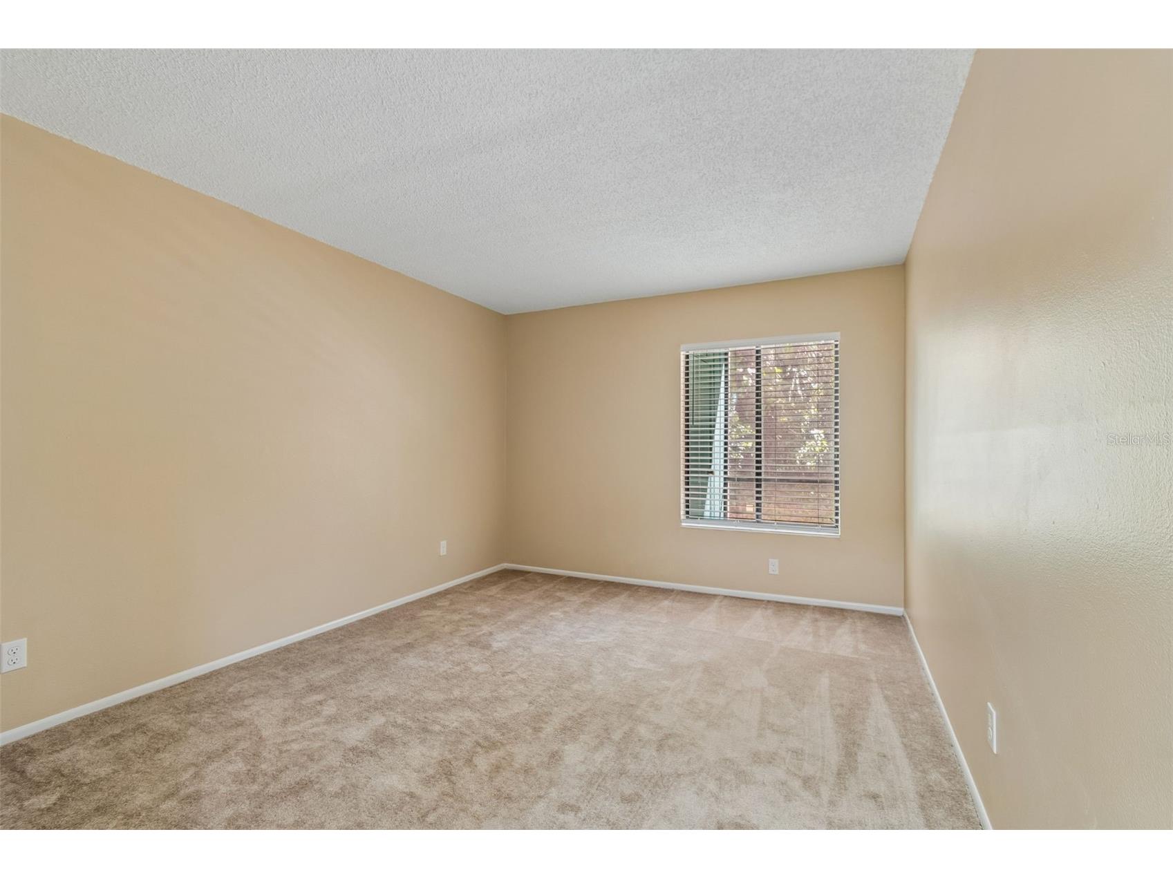 3300 Fox Chase Circle N #202 Palm Harbor FL 34683 TB8500704 image29