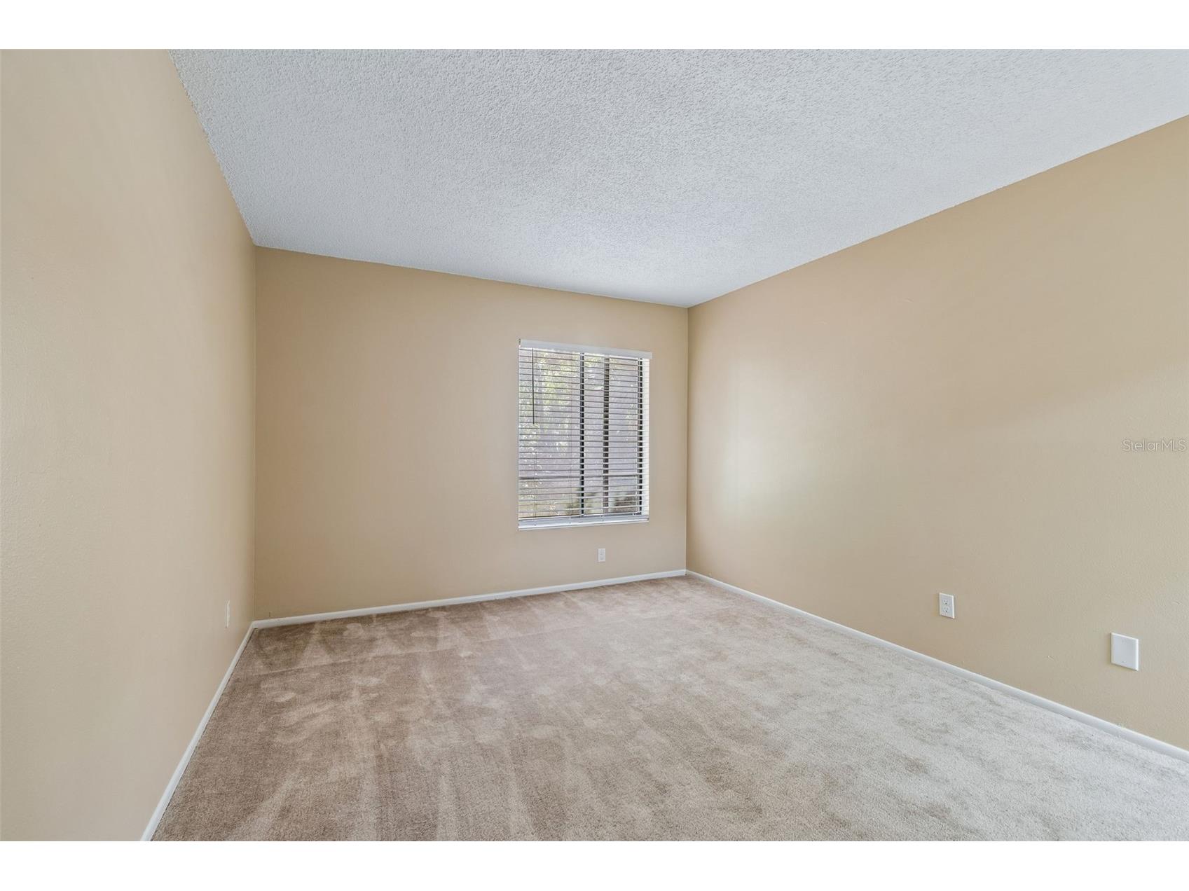 3300 Fox Chase Circle N #202 Palm Harbor FL 34683 TB8500704 image32