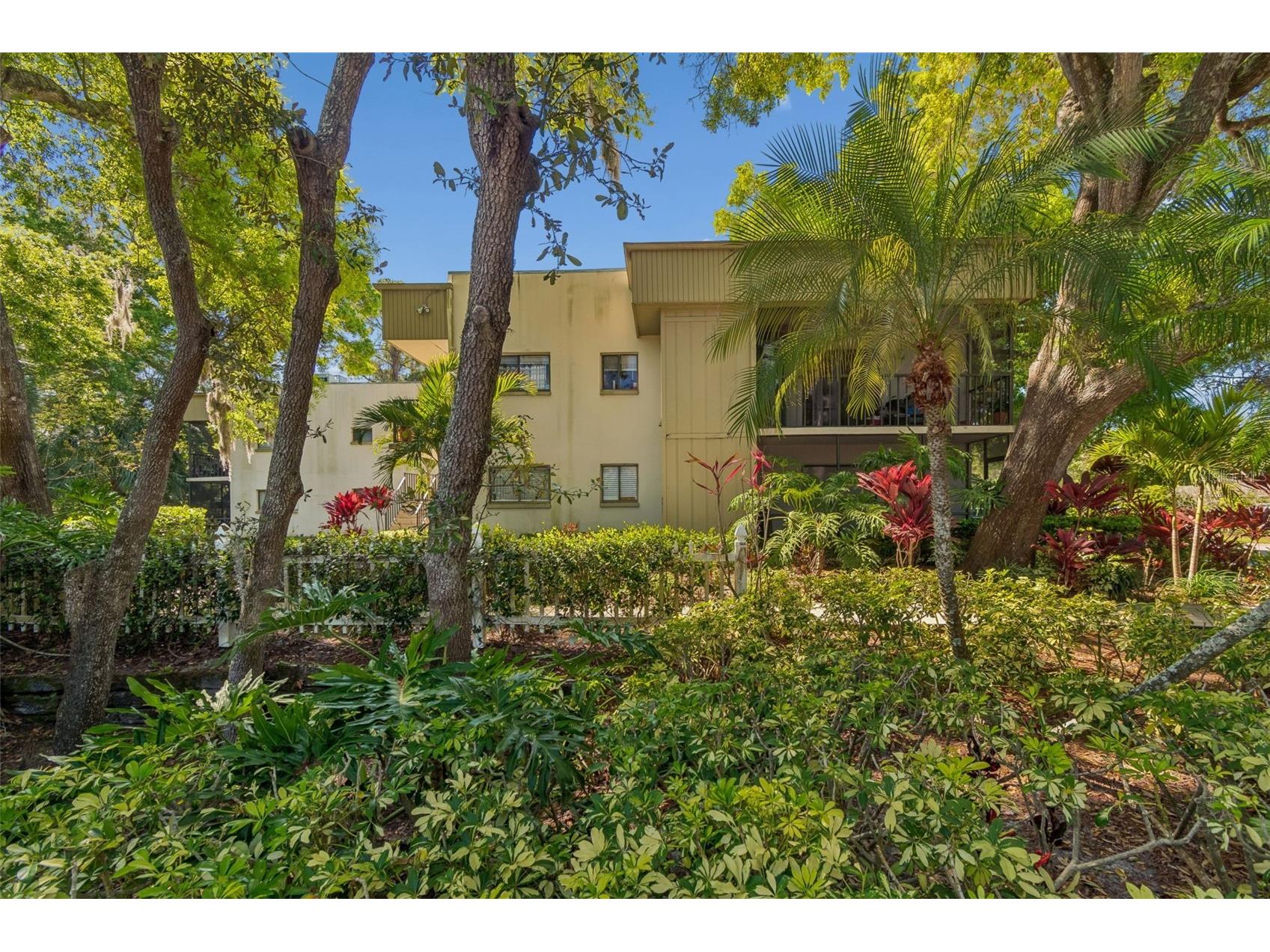 3300 Fox Chase Circle N #202 Palm Harbor FL 34683 TB8500704 image4