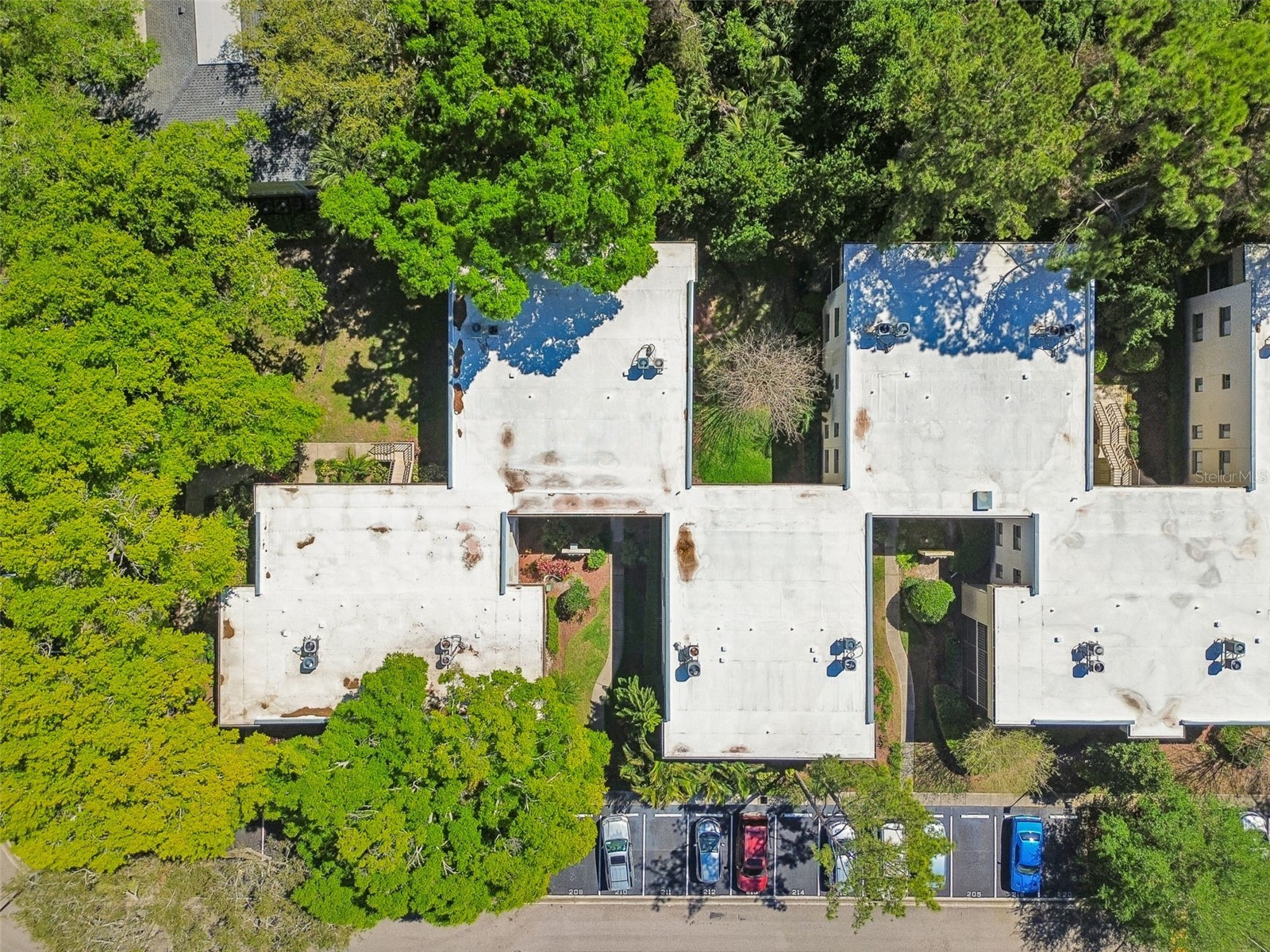 3300 Fox Chase Circle N #202 Palm Harbor FL 34683 TB8500704 image70