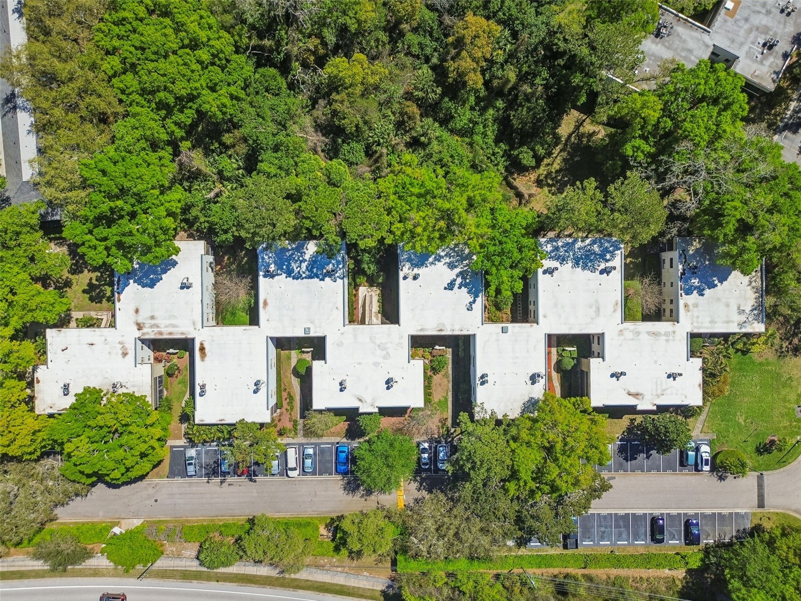 3300 Fox Chase Circle N #202 Palm Harbor FL 34683 TB8500704 image71