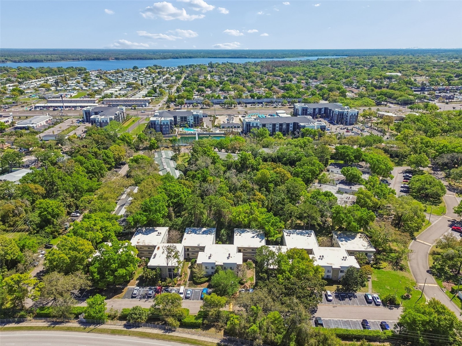 3300 Fox Chase Circle N #202 Palm Harbor FL 34683 TB8500704 image73