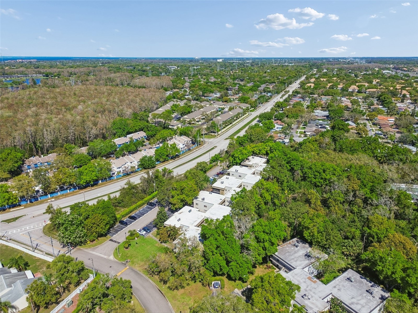 3300 Fox Chase Circle N #202 Palm Harbor FL 34683 TB8500704 image77