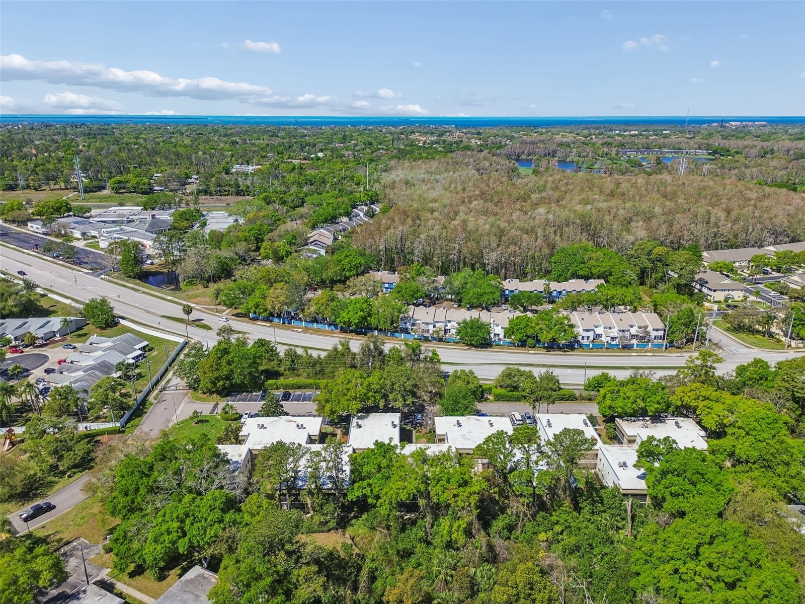 3300 Fox Chase Circle N #202 Palm Harbor FL 34683 TB8500704 image78