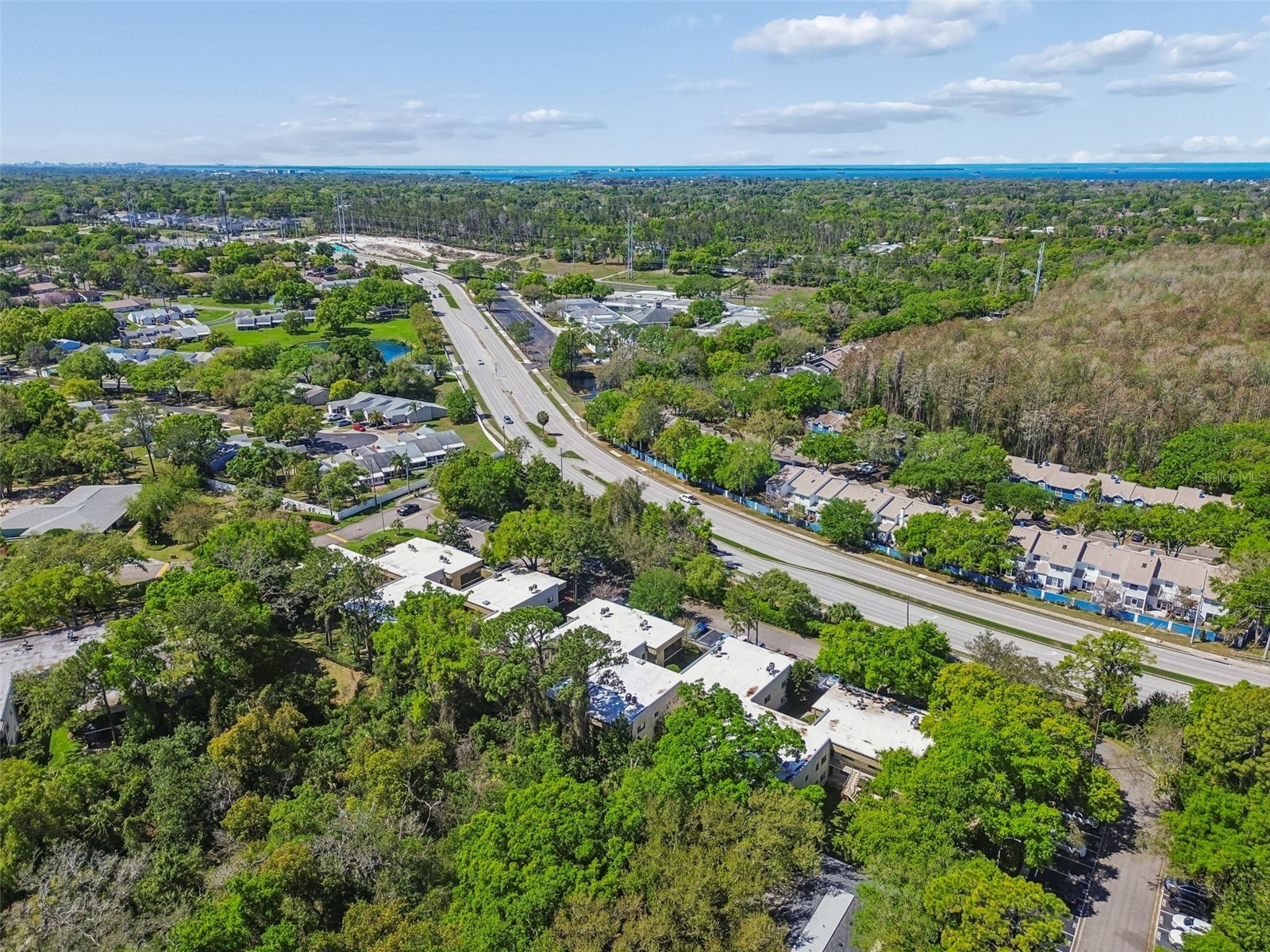 3300 Fox Chase Circle N #202 Palm Harbor FL 34683 TB8500704 image79