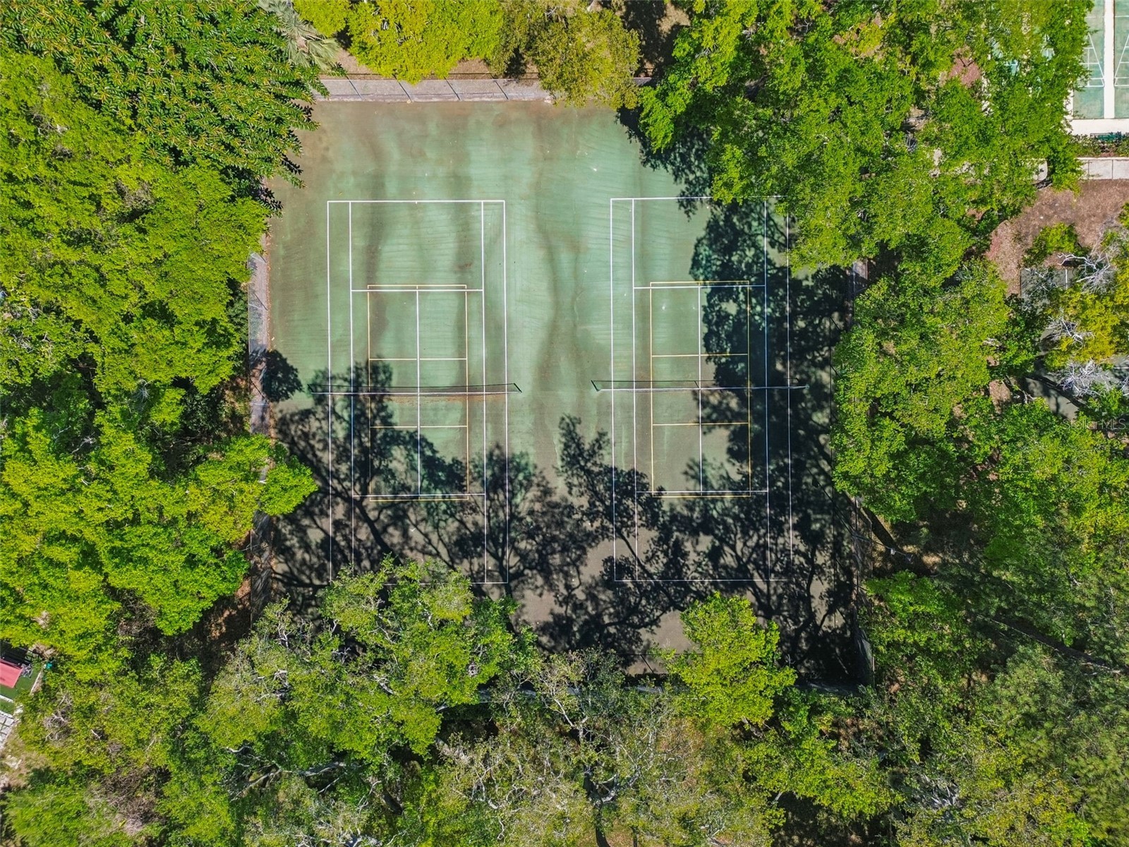 3300 Fox Chase Circle N #202 Palm Harbor FL 34683 TB8500704 image89