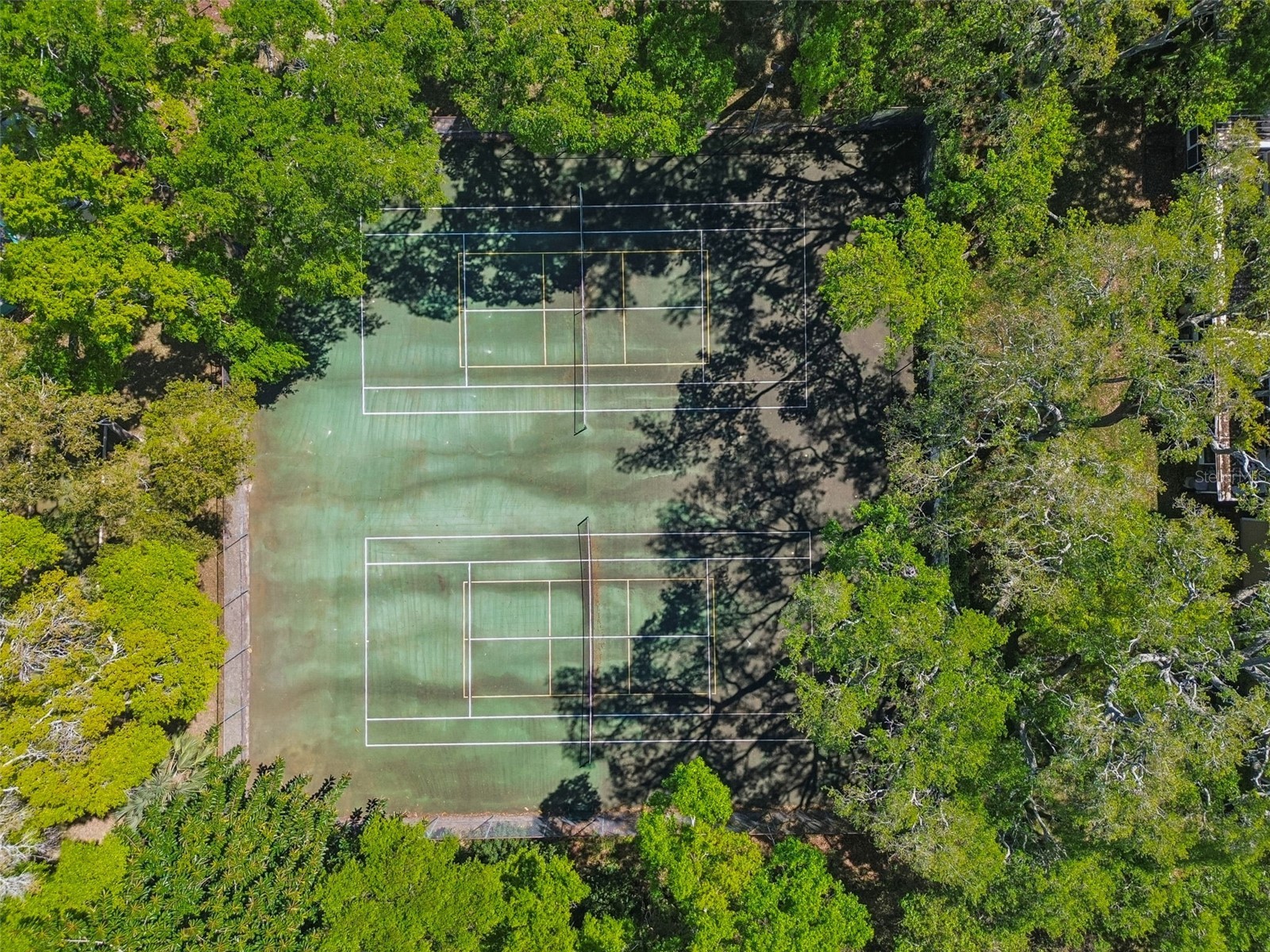 3300 Fox Chase Circle N #202 Palm Harbor FL 34683 TB8500704 image90