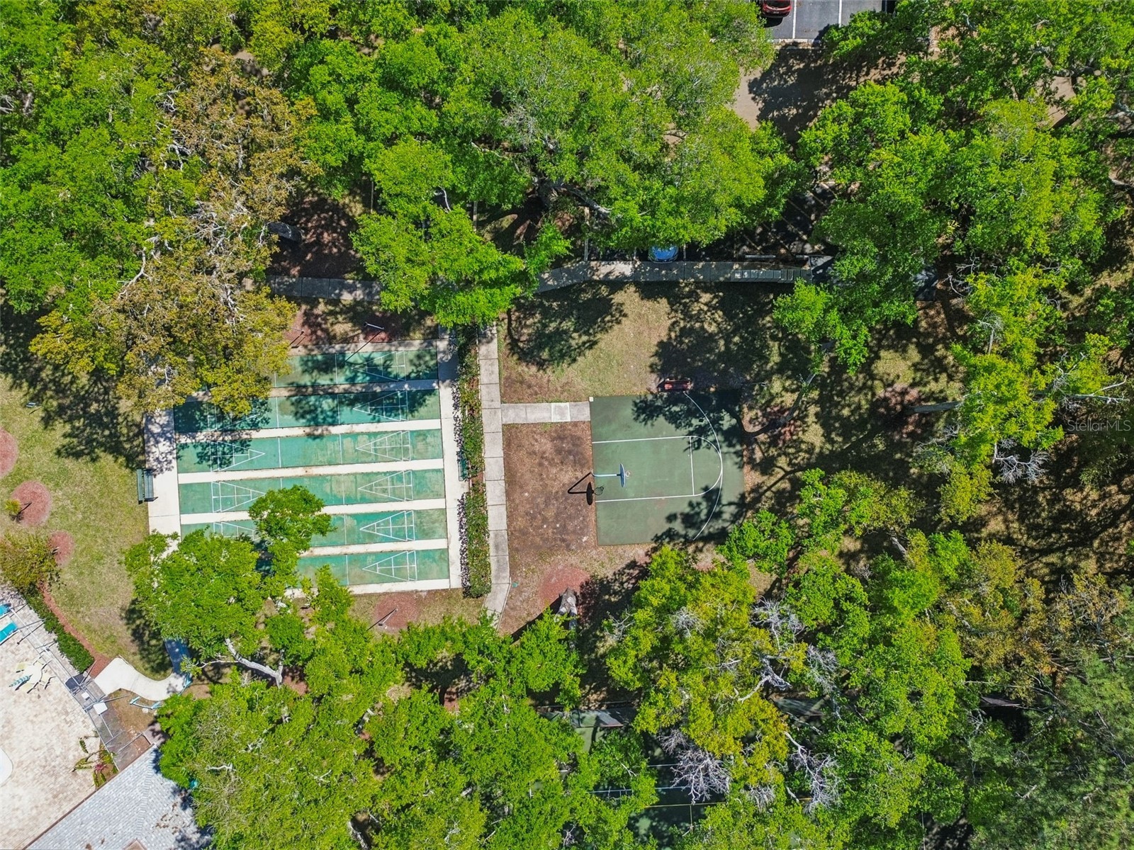 3300 Fox Chase Circle N #202 Palm Harbor FL 34683 TB8500704 image91