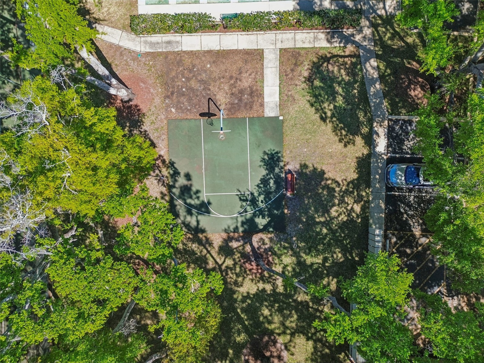 3300 Fox Chase Circle N #202 Palm Harbor FL 34683 TB8500704 image92