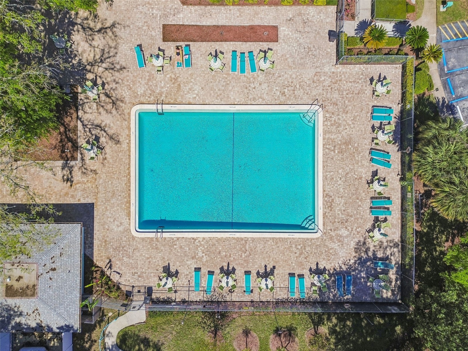 3300 Fox Chase Circle N #202 Palm Harbor FL 34683 TB8500704 image94