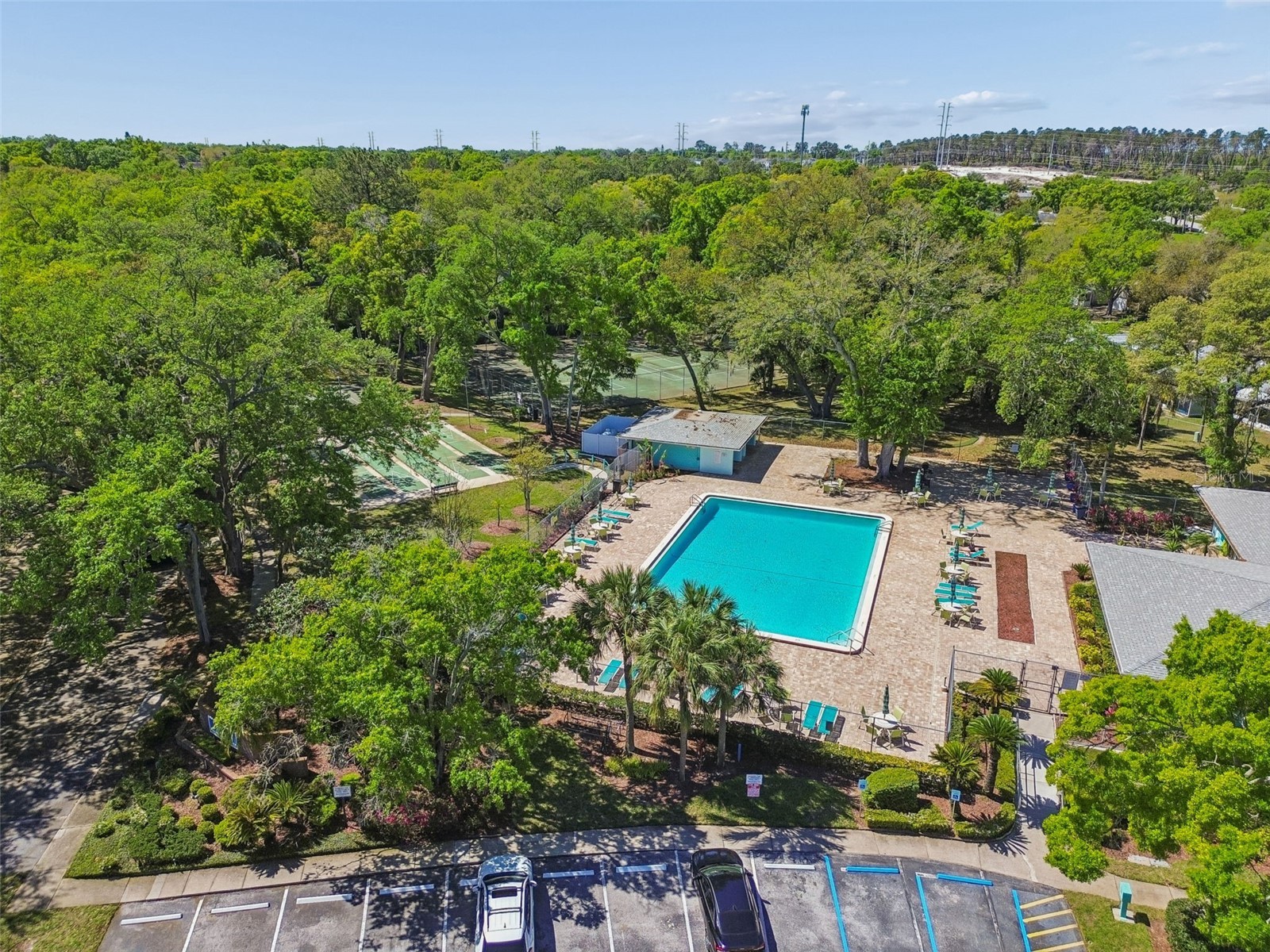 3300 Fox Chase Circle N #202 Palm Harbor FL 34683 TB8500704 image95
