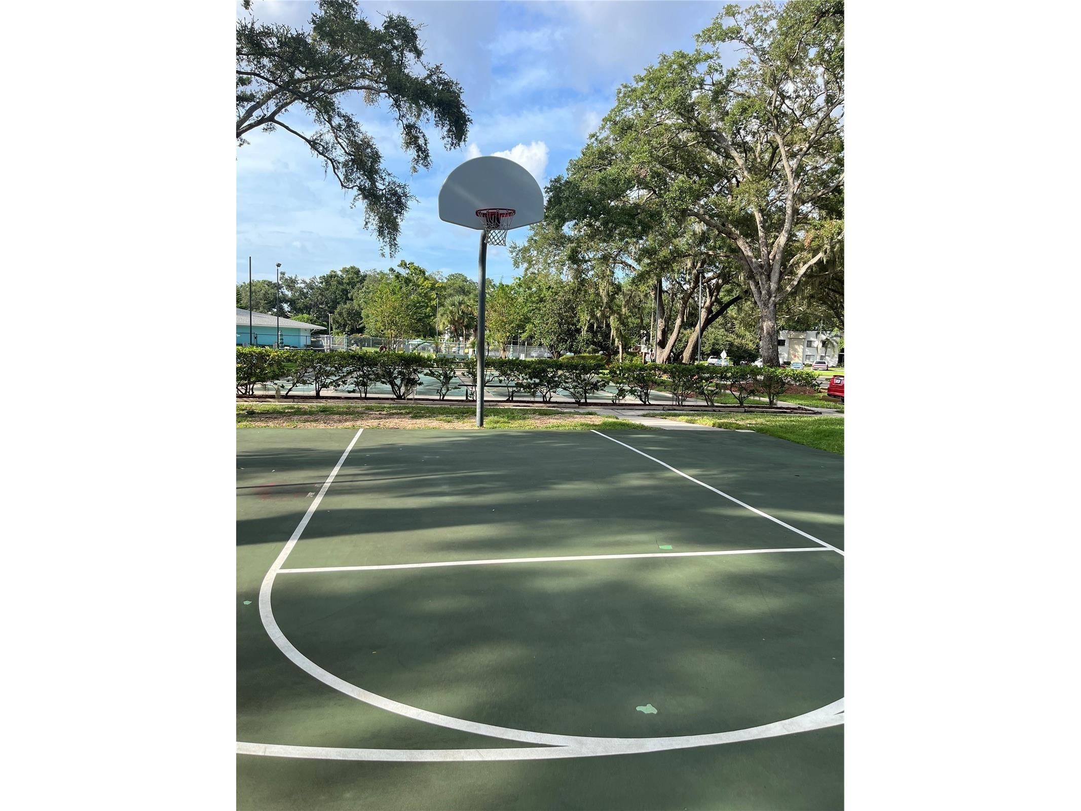 3300 Fox Chase Circle N #213 Palm Harbor FL 34683 TB8416452 image13