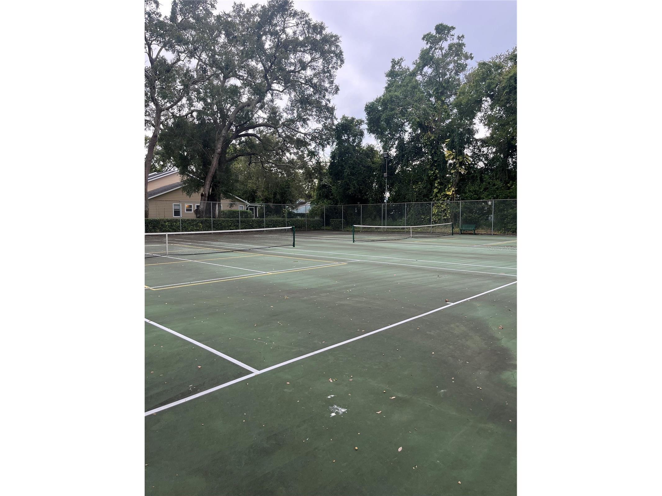 3300 Fox Chase Circle N #213 Palm Harbor FL 34683 TB8416452 image15