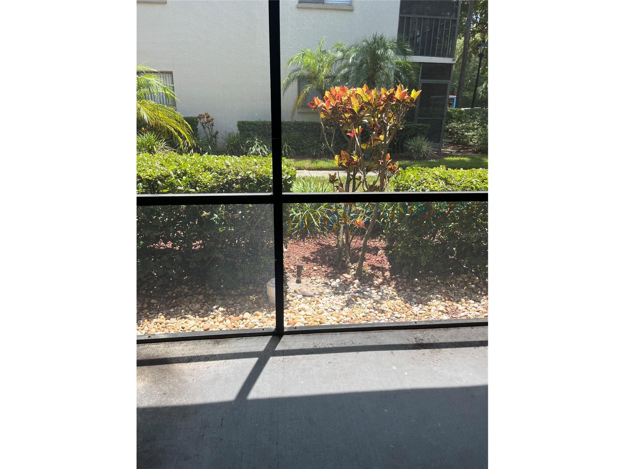 3300 Fox Chase Circle N #213 Palm Harbor FL 34683 TB8416452 image9