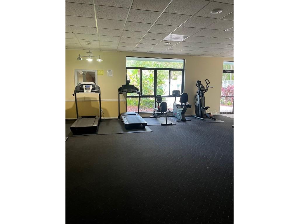 3300 Fox Chase Circle N #226 Palm Harbor FL 34683 TB8452504 image11