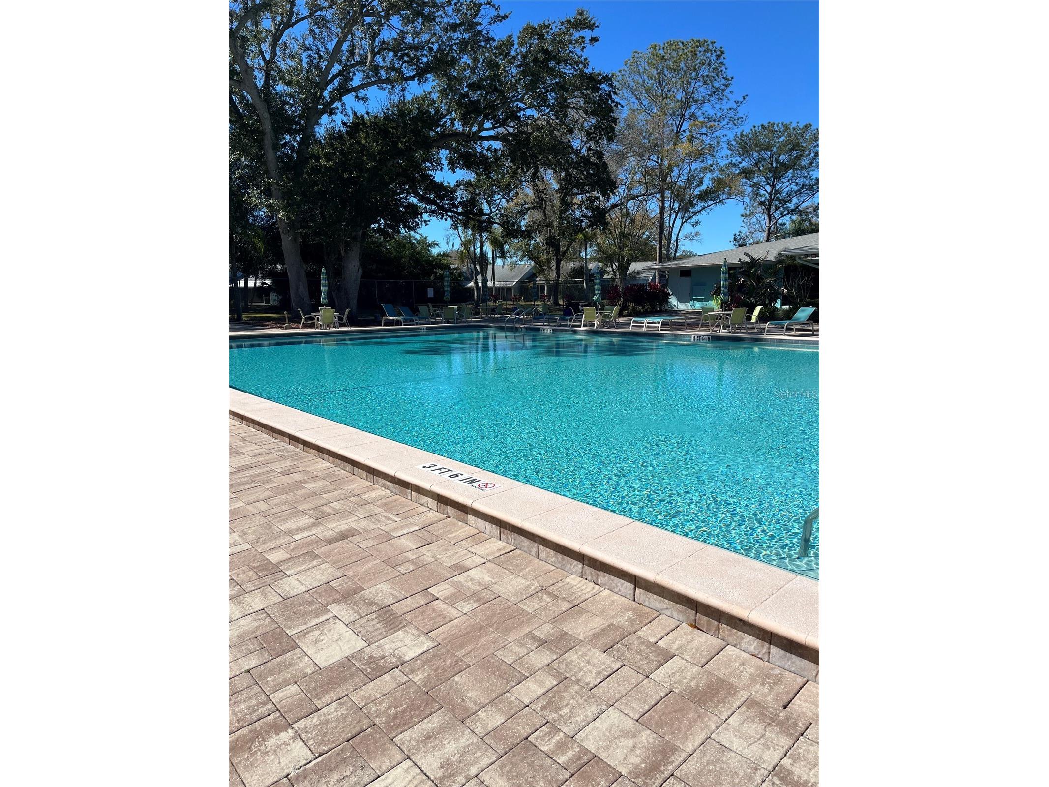 3300 Fox Chase Circle N #226 Palm Harbor FL 34683 TB8452504 image15