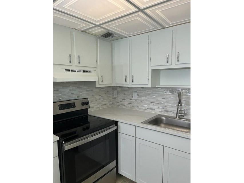 3300 Fox Chase Circle N #226 Palm Harbor FL 34683 TB8452504 image3