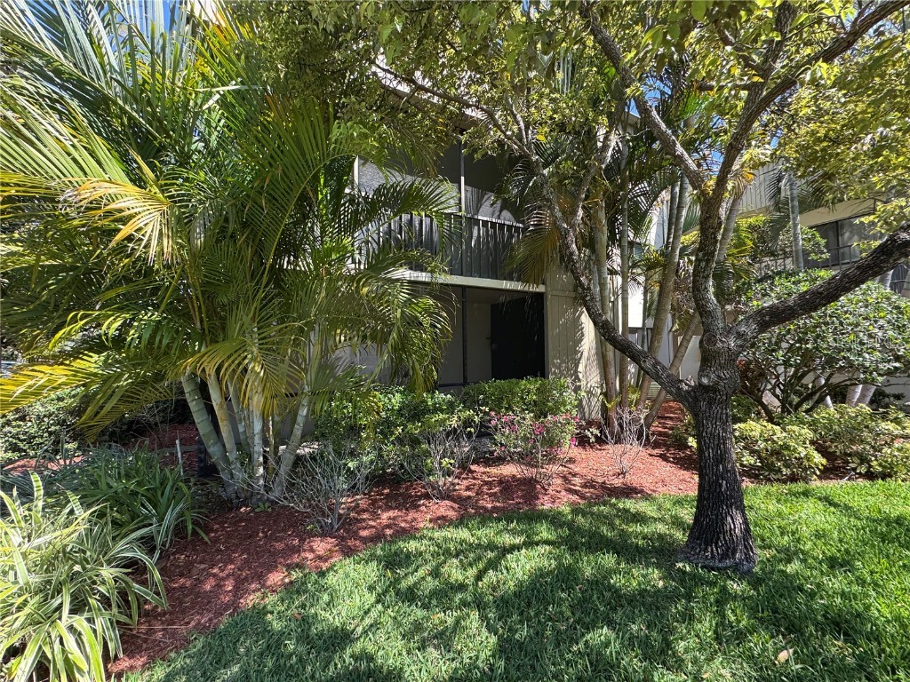3300 Fox Chase Circle N #229 Palm Harbor FL 34683 TB8440998 image16