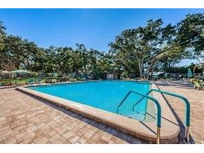 3300 Fox Chase Circle N #229 Palm Harbor FL 34683 TB8440998 image20
