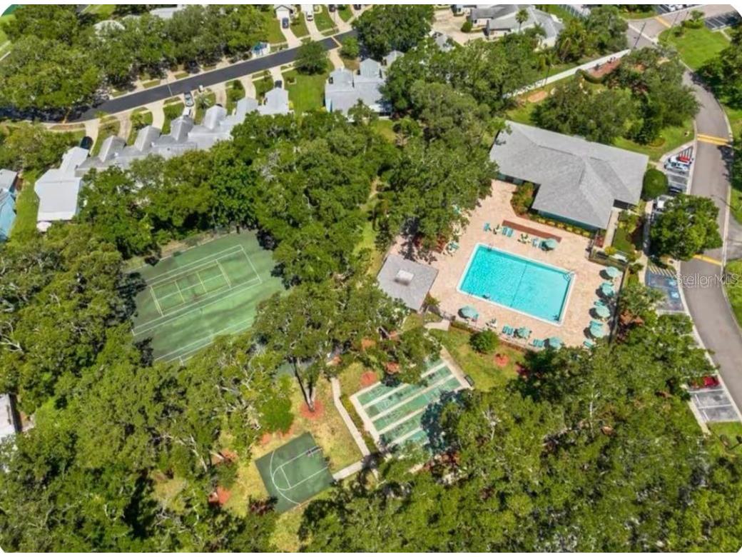 3300 Fox Chase Circle N #229 Palm Harbor FL 34683 TB8440998 image21