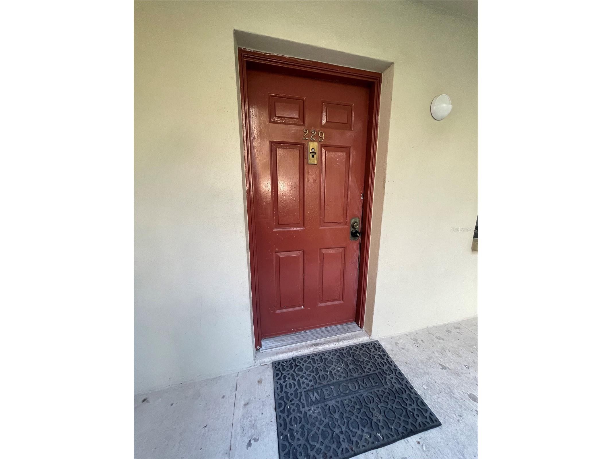 3300 Fox Chase Circle N #229 Palm Harbor FL 34683 TB8506019 image13