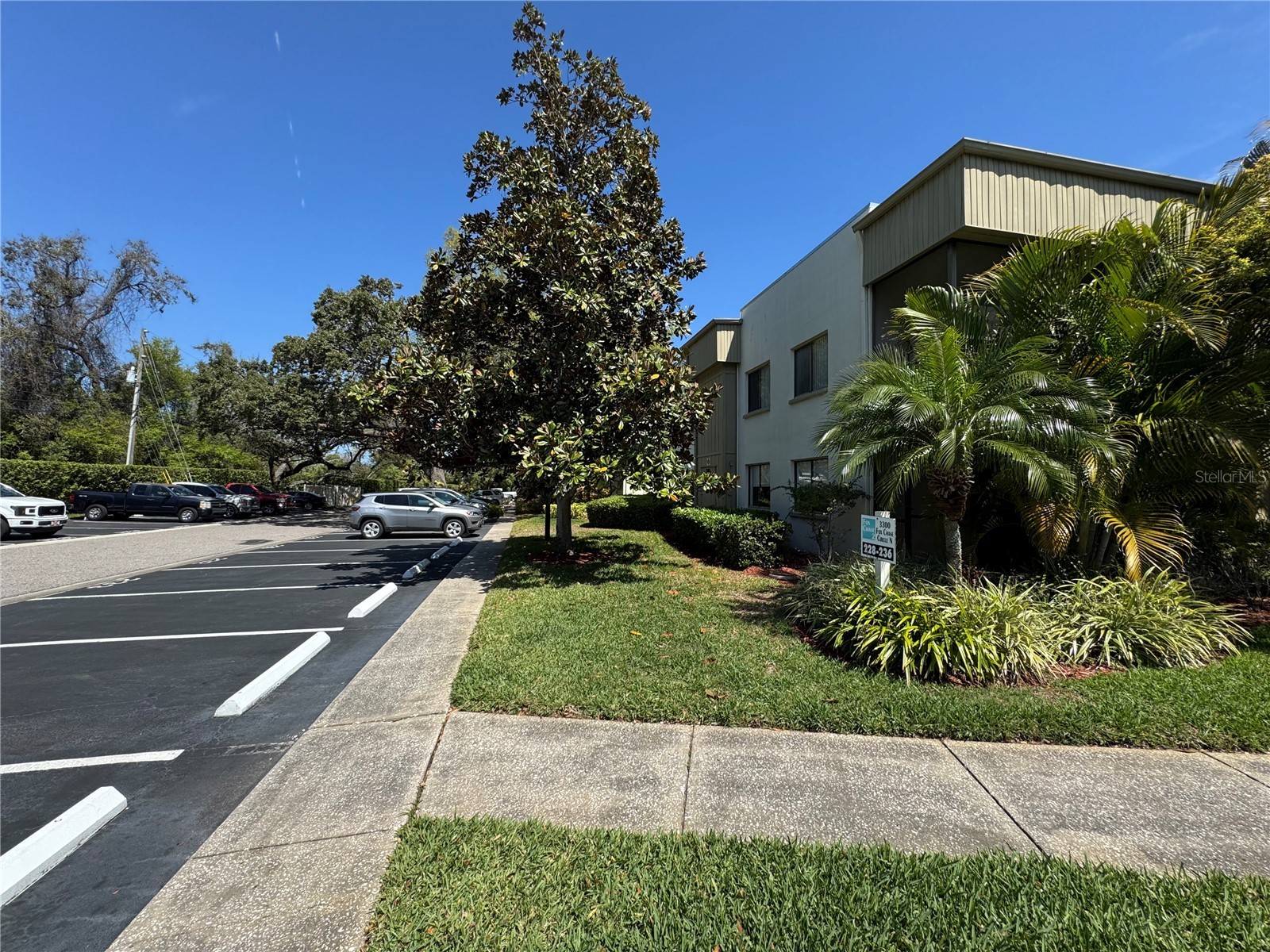 3300 Fox Chase Circle N #229 Palm Harbor FL 34683 TB8506019 image14