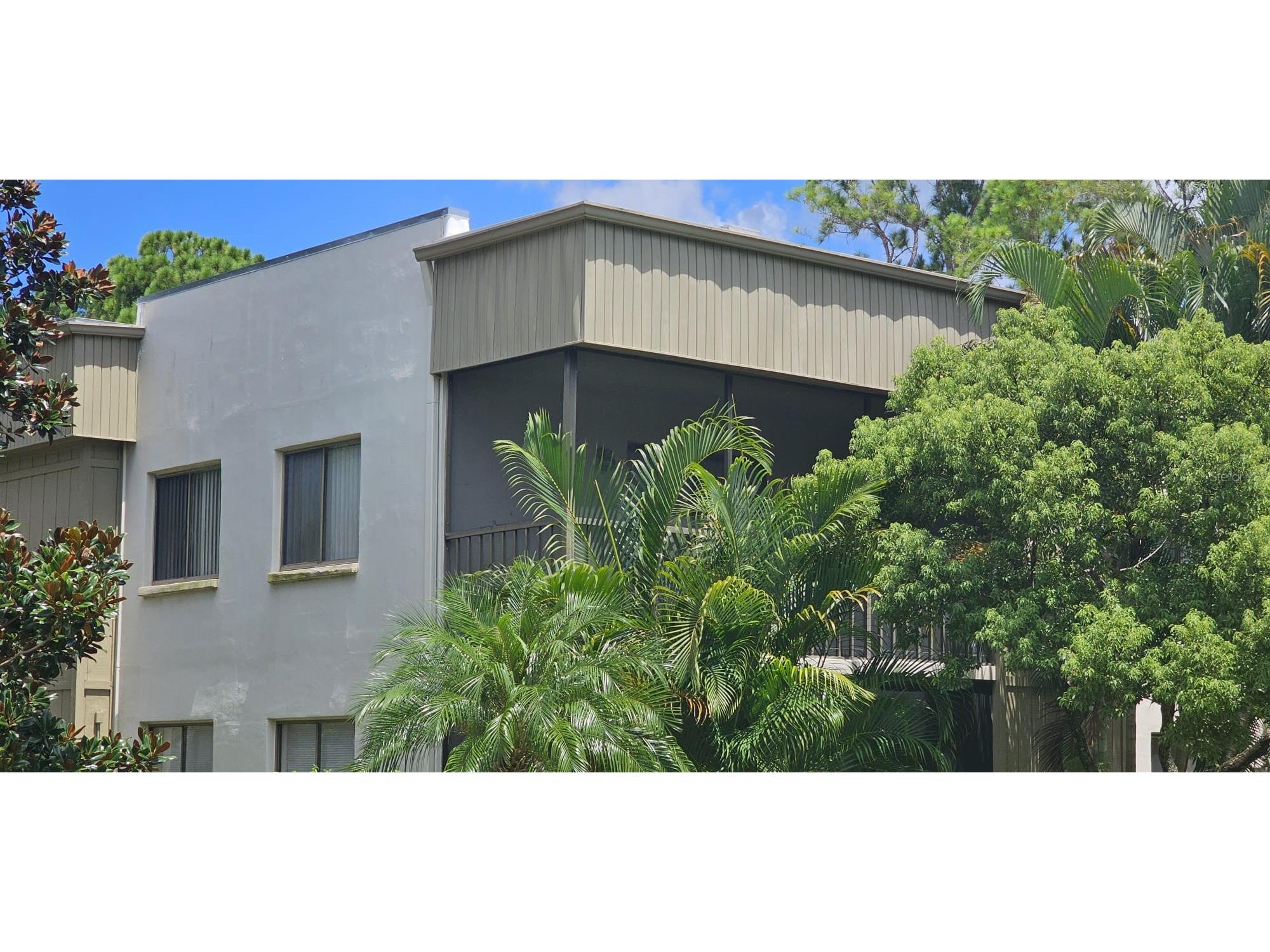3300 Fox Chase Circle N #231 Palm Harbor FL 34683 TB8460100 image1