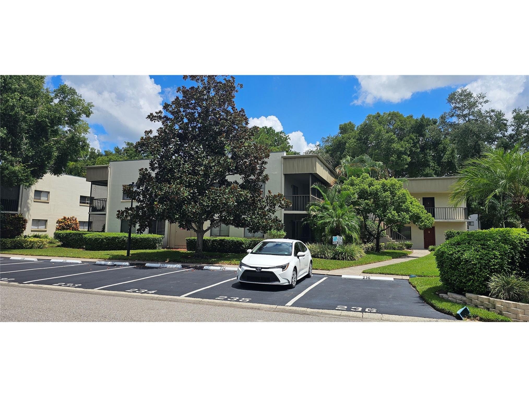 3300 Fox Chase Circle N #231 Palm Harbor FL 34683 TB8460100 image25