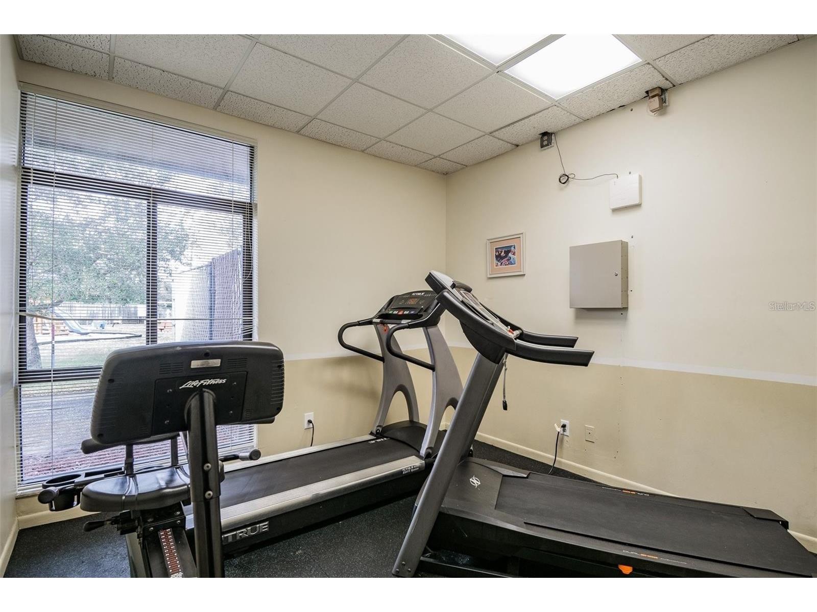 3300 Fox Chase Circle N #231 Palm Harbor FL 34683 TB8460100 image30