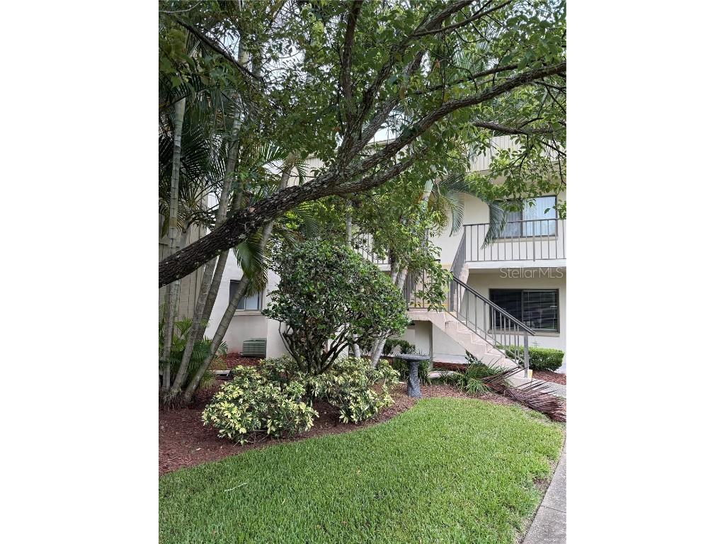 3300 Fox Chase Circle N #232 Palm Harbor FL 34683 TB8409586 image1