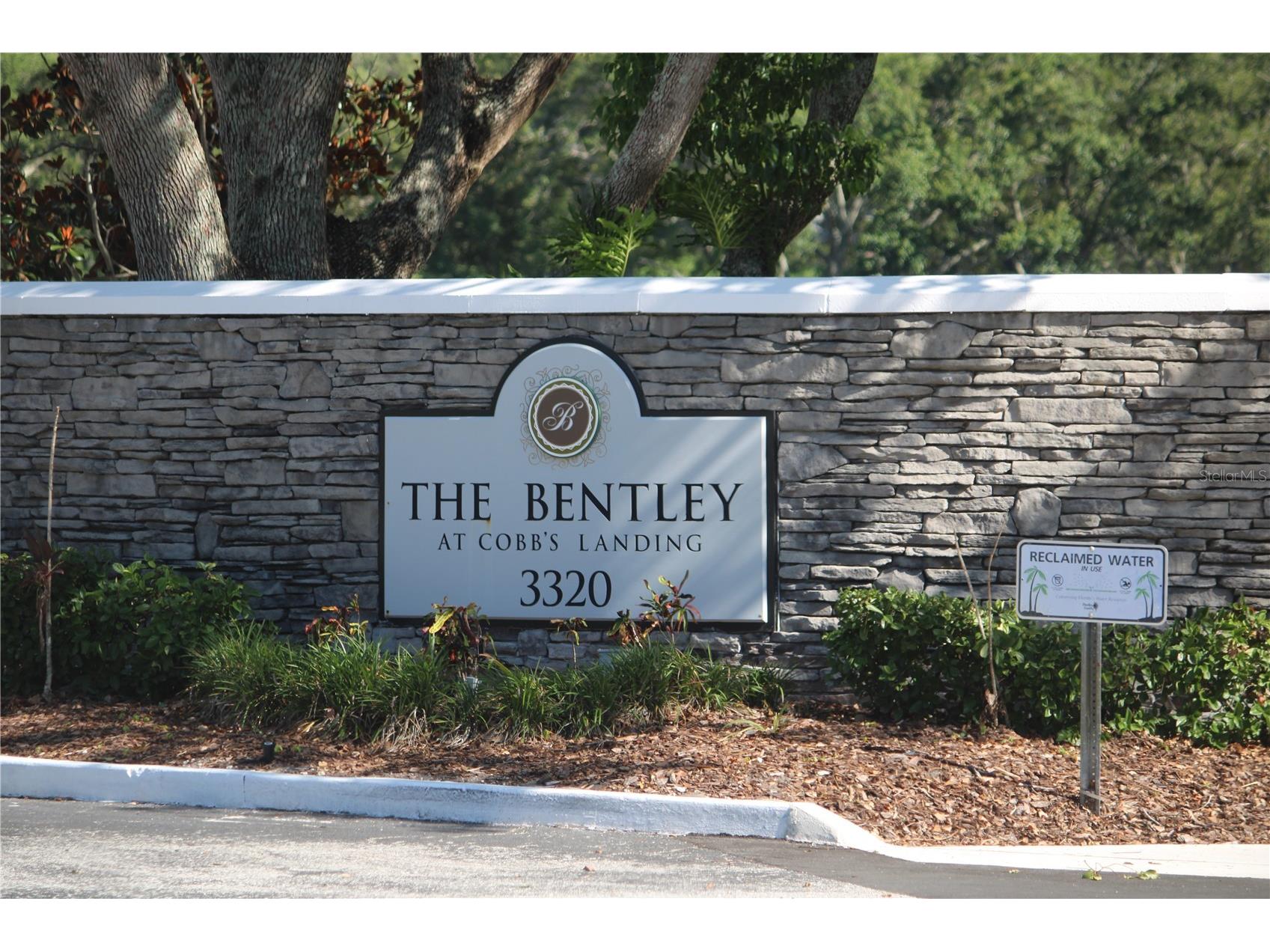 3300 Haviland Court #104 Palm Harbor FL 34684 TB8525551 image2