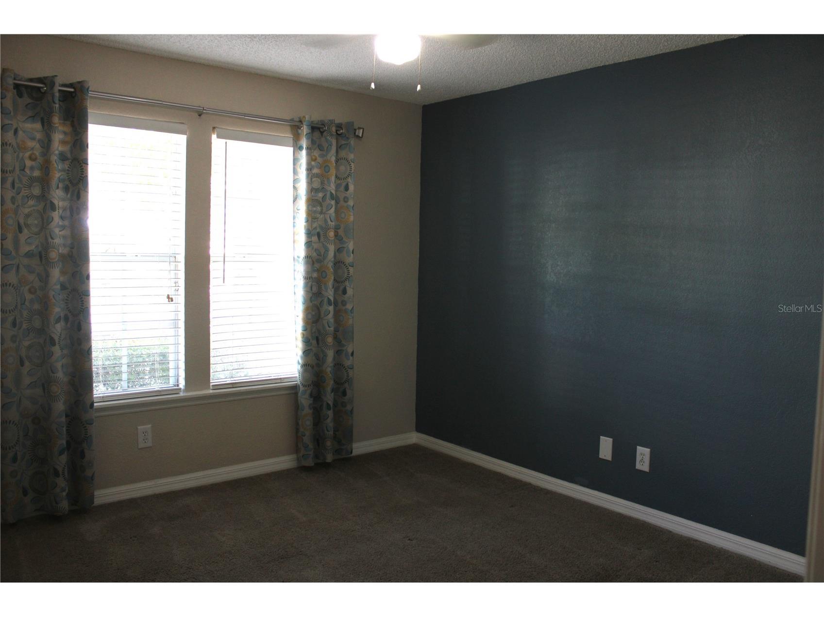 3300 Haviland Court #104 Palm Harbor FL 34684 TB8525551 image6