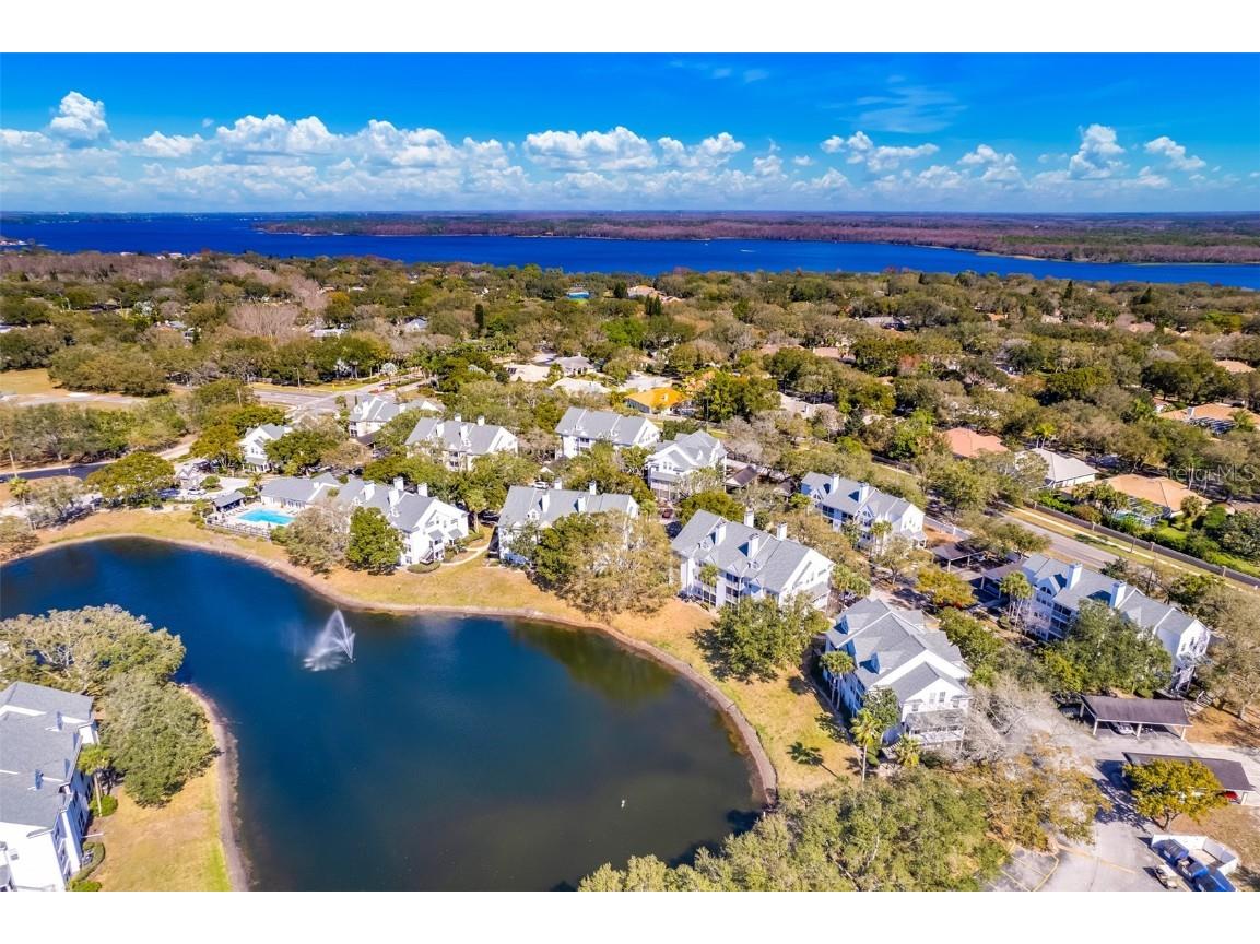 3300 Haviland Court #204 Palm Harbor FL 34684 U8189276 image1