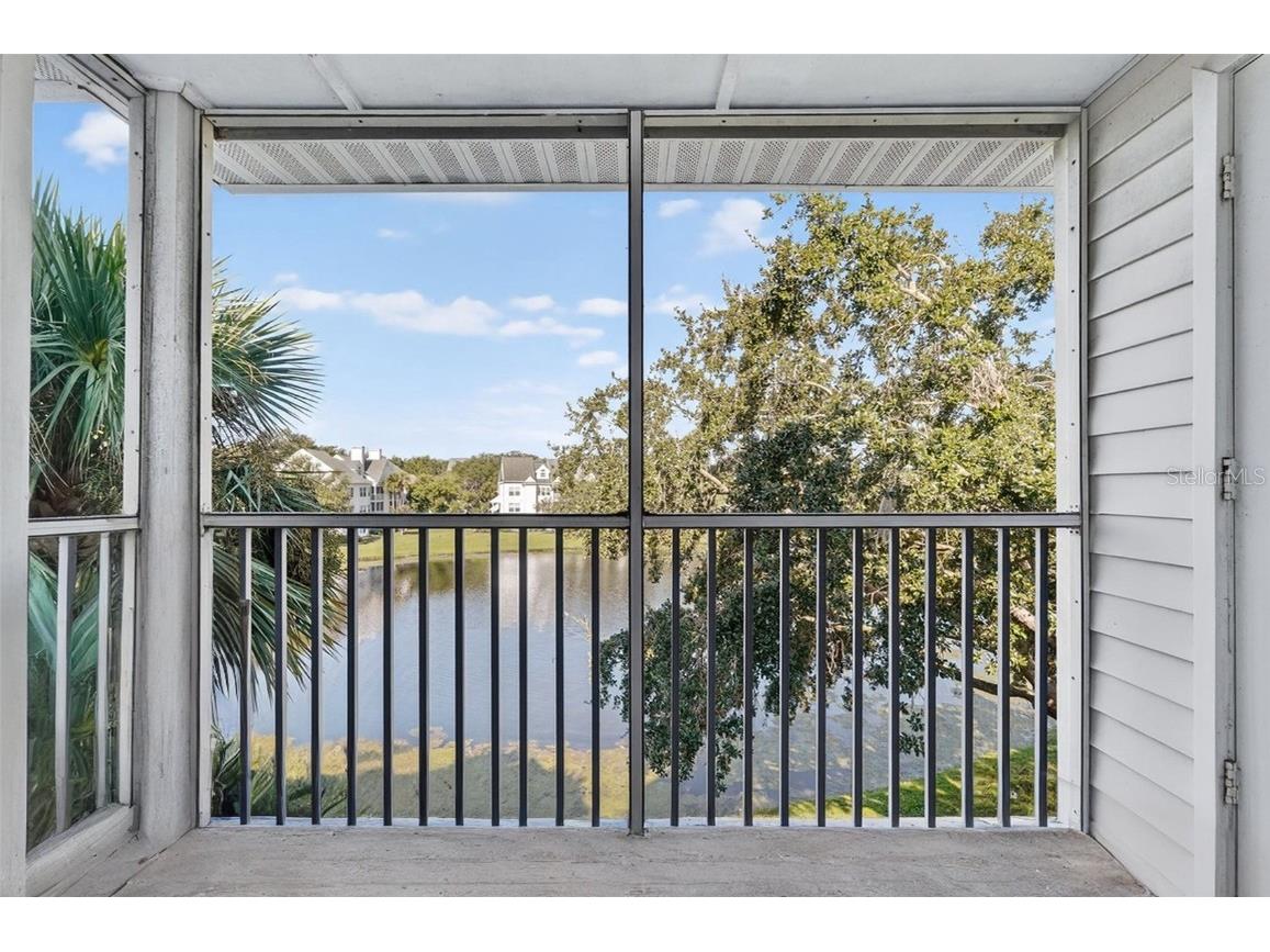 3300 Haviland Court #303 Palm Harbor FL 34684 TB8429828 image1