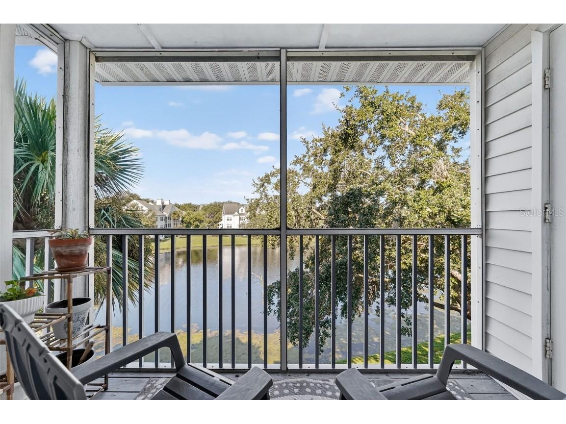 3300 Haviland Court #303 Palm Harbor FL 34684 TB8429828 image24